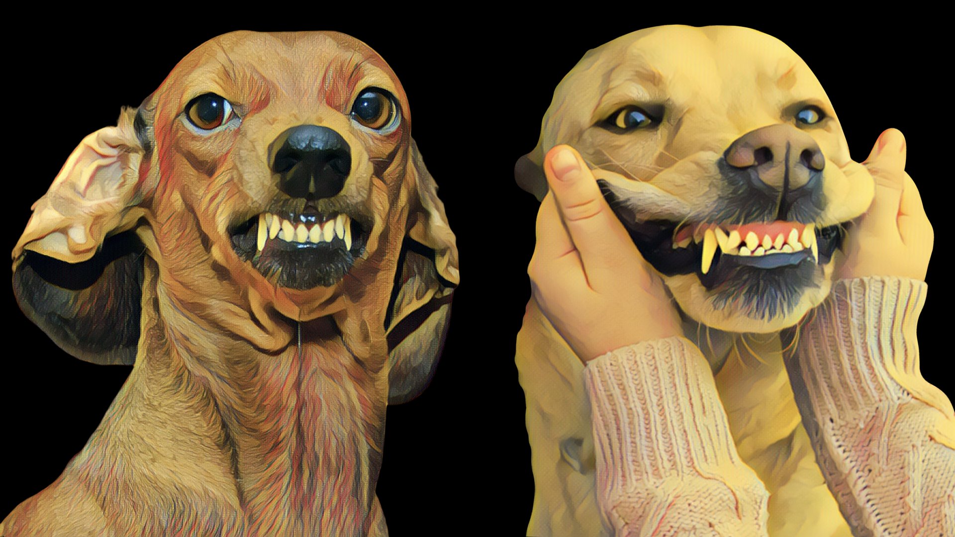 Non neutered on sale dogs